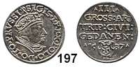 Deutsche Münzen und Medaillen,Danzig, Stadt Sigismund I. 1506 - 15483 Groschen 1537.  2,61 g.  Dutkowski/Suchanek 71 b (PRVSSI).  Kopicki 7331.