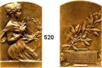 M E D A I L L E N,Medailleur Heinrich Kautsch (1859 - 1943) 1913.  Bronzeplakette, oben abgerundet.  Preismedaille Grenoble.  35 x 55 mm.  45 g.