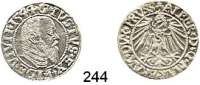 Deutsche Münzen und Medaillen,Preußen, Herzogtum Albrecht von Brandenburg (1511) 1525-1568 Groschen 1544.  2,02 g. Neumann 47. (Spitzer Bart).