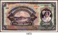 P A P I E R G E L D,AUSLÄNDISCHES  PAPIERGELD Tschechoslowakei 5000 Kronen 6.7.1920. 