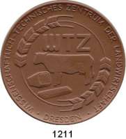 MEDAILLEN AUS PORZELLAN,Staatliche Porzellan-Manufaktur MEISSEN Dresden 1989 braun (80 mm).  Argrawissenschaftliche Gesellschaft der DDR. Kronentor des Zwingers.