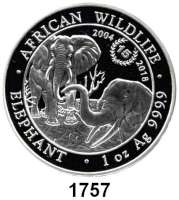 AUSLÄNDISCHE MÜNZEN,Somalia  100 Shillings (Silberunze) 2018.  Elefant.  Jubiläumsprägung 