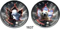 AUSLÄNDISCHE MÜNZEN,Kanada  5 Dollars 2016.  Maple Leaf Tierbabys.  Maple Leaf in Farbe mit Abbildung von Tieren.  LOT. 10 Verschiedene.