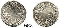 Deutsche Münzen und Medaillen,Pommern Bogislaw X. 1474 - 1523 Schilling 1506, Stettin.  1,13 g.  Olding 11 b.