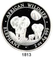 AUSLÄNDISCHE MÜNZEN,Somalia  Set African Wildlife 2014.  1/4, 1/2, 1 und 2 Unzen Silber.  Elefanten mit Jungtier.  Im Originaletui mit Zertifikat.