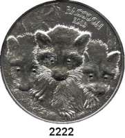 AUSLÄNDISCHE MÜNZEN,Vanuatu  100 Vatu 2013.  (2 Unzen Silber, mit schwarzen Diamanteinsätzen).  KM 91.  Wachbären-Familie.
