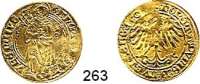 Deutsche Münzen und Medaillen,Nürnberg, Stadt Maximilian I. 1493 - 1519 Goldgulden 1508(?).  3,25 g.  Kellner 6 (6).  Fb. 1801.  GOLD.