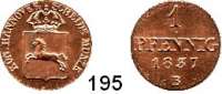 Deutsche Münzen und Medaillen,Braunschweig - Calenberg (Hannover) Wilhelm IV. 1830 - 1837 1 Pfennig 1837.  AKS 84.  Jg. 42.