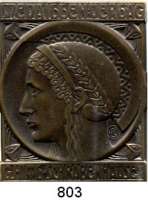 M E D A I L L E N,Städte Schrobenhausen Einseitige Bronzeplakette o.J. (vor 1905, Rudolf Bosselt). Auf den Medaillen-Verlag G. Hitl in Schrobenhausen. Kopf der Pallas Athene nach links (Verlagssignet der Prägeanstalt Hitl). 51 x 41 mm. 38,3 g.