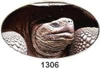 AUSLÄNDISCHE MÜNZEN,Niue  2 Dollars 2015 (Silberunze/farbig).  Schildkröte - Der einsame George.  Im Originaletui mit Zertifikat.