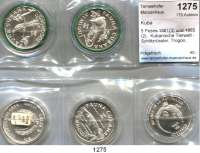 AUSLÄNDISCHE MÜNZEN,Kuba  5 Pesos 1981(3) und 1985(2).  Kubanische Tierwelt - Schlitzrüssler, Trogon, Alligatorfisch; Naturschutz - Kuba Krokodil, Mönchssittich.  Schön 76 bis 78, 119, 121.  KM 82 bis 84, 125, 129. LOT. 5 Stück.