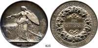 M E D A I L L E N,Landwirtschaft Silbermedaille o.J. (Gravur 1893, Schwenzer). Deutsche Landwirtschafts-Gesellschaft. DEM VERDIENSTE. Mit Gravur : MÜNCHEN 1893 - GERR. MACHOLL, MÜNCHEN. 66 mm. 109,5 g. Im Originaletui (leicht beschädigt).