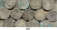 Deutsche Münzen und Medaillen,Kempten, Stadt  1/2 Batzen zwischen 1511 und 1523.  Schulten 1591.  LOT. 31 Stück.