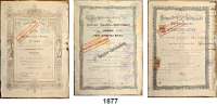 P A P I E R G E L D,Wertpapiere  Kleines Lot entwerteter Wertpapiere:  Bayerische Vereinsbank, 4 verschiedene Goldpfandbriefe 1926/1927.  Berliner Handels-Gesellschaft,  Aktien zu 500 Mark 1.1.1879 und 1000 Mark 8.4.1886.  Deutsche Lokal- und Strassenbahn Gesellschaft,  500 Mark Aktie 24.11.1881.  Mannesmann-Röhrenwerke,  600 Mark Aktie Febr. 1927.  IG Farbenindustrie,  Aktien zu 200 Mark Dez. 1925 und 1000 Mark Sept. 1926.  Rheinisch-Westfälisches Elektrizitätswerk AG Essen(Ruhr),  400 Mark Aktie Dez. 1929. Sächsische Bank zu Dresden,  200 Thaler Actie 1.1.1870.  Schwarzburgische Landesbank,  500 Mark Interims-Actie 1.6.1878.   LOT. 13 Stück.
