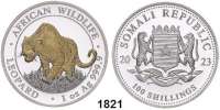 AUSLÄNDISCHE MÜNZEN,Somalia  100 Shillings 2023 (Silberunze, Leopard vergoldet).  Leopard.