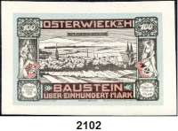 P A P I E R G E L D   -   N O T G E L D,Notgeld der besonderen Art Osterwiecker Ledergeld 100 Mark 1.5.1922.  Glaceleder, weiß.  Grab. 360.