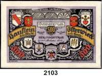 P A P I E R G E L D   -   N O T G E L D,Notgeld der besonderen Art Osterwiecker Ledergeld 500 Mark 1.5.1922.  Glaceleder, weiß.  Grab. 361.