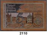 P A P I E R G E L D   -   N O T G E L D,Notgeld der besonderen Art Pößnecker Ledergeld 5 Millionen Mark 11.8.1923.  Schafsleder, hellbraun.  Rs. Ledersessel. Grab. 453.